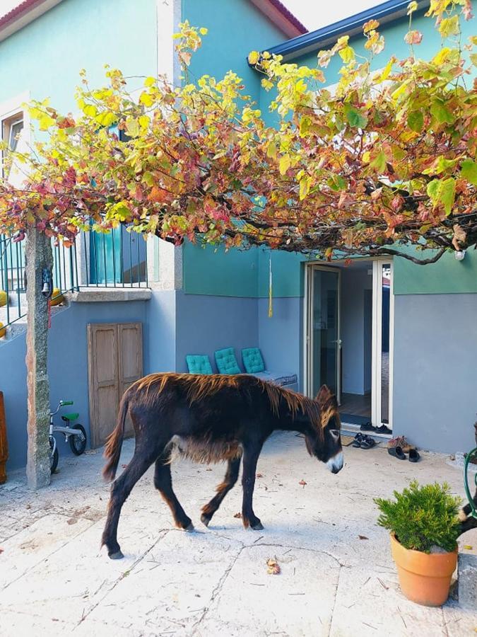 Quinta da Quinhas - Alojamento DiverMinho Vila Praia de Âncora Exterior foto
