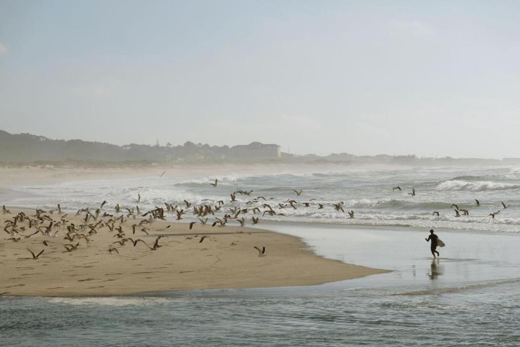 Quinta da Quinhas - Alojamento DiverMinho Vila Praia de Âncora Exterior foto